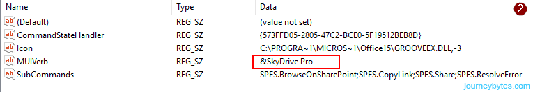 SkyDrive Pro registry Value