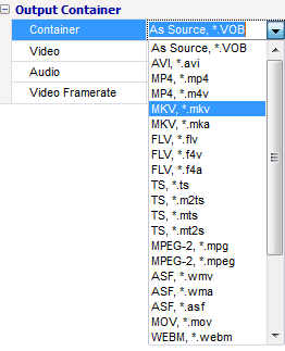 A screenshot showing video container formats available for conversion.