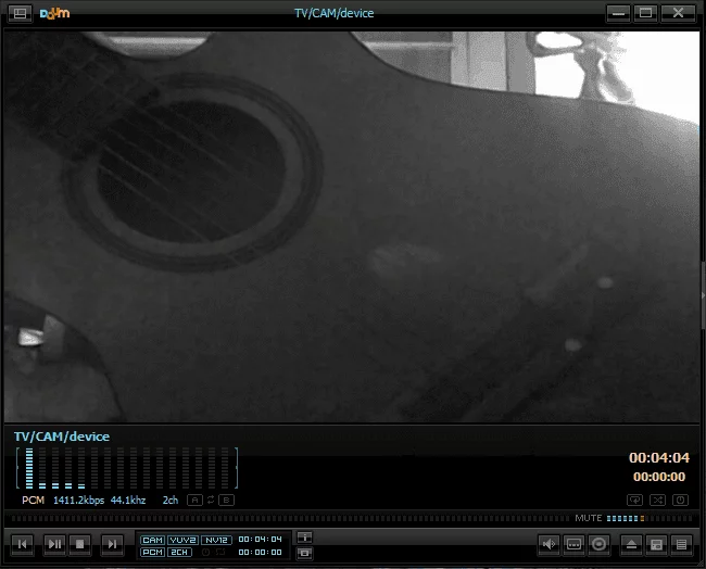 A screenshot showing a webcam feed preview in PotPlayer