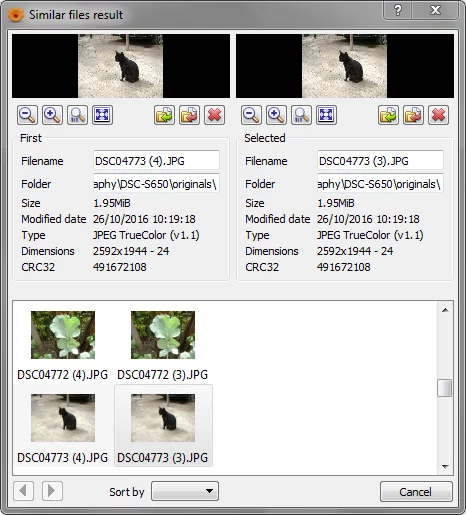 An image showing the duplicate results window in XnView MP.