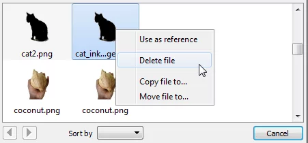 An image showing how to delete a duplicate image result in XnViewMP.