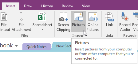A screenshot showing the insert picture button inside OneNote's ribbon