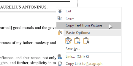 A screenshot showing the copy text from picture item in OneNote's context menu