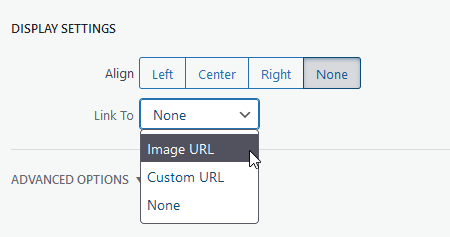 A screenshot of the image link options in the image details window.
