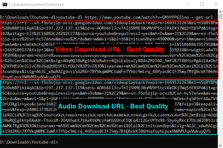 Screenshot of youtube-dl in the command prompt with download links generated.